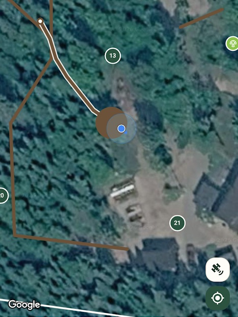 Carte satellite d'un boisé dans l'app Fyri : le sentier en cours d'enregistrement suit la position du propriétaire, à côté des sentiers déjà tracés.